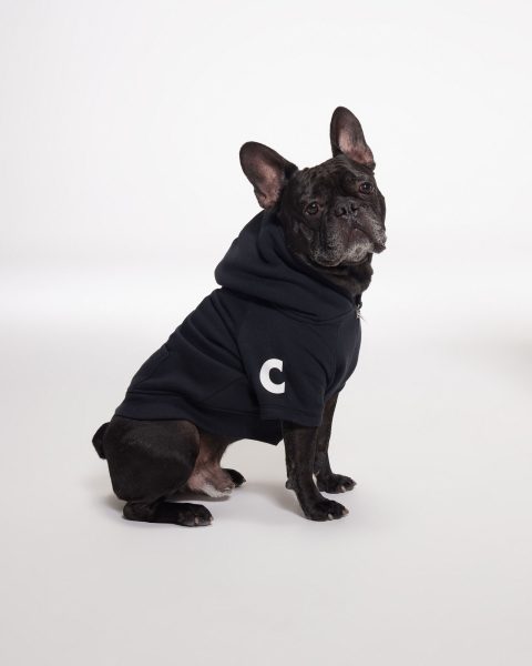 The CC Woof