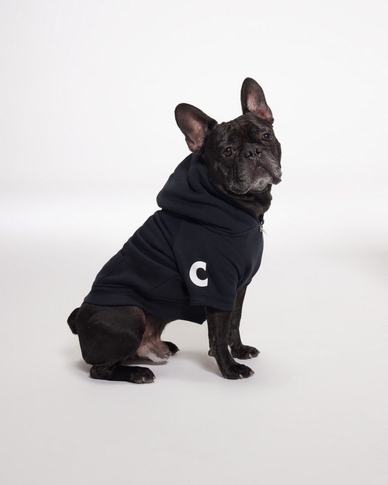 Camiseta para perro The CC Woof CALVAGNI E-C_1840